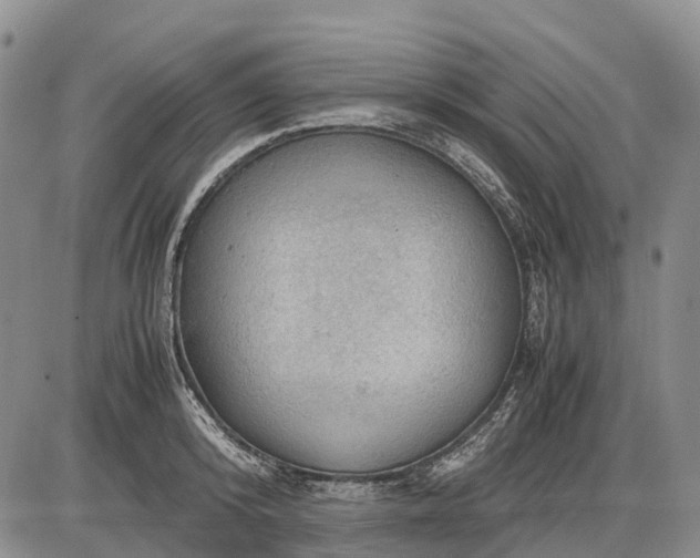 X0000085210800200703231505