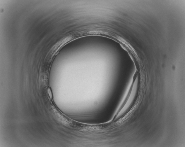 X0000085210801200703231505