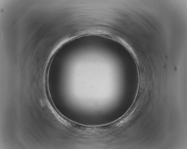 X0000085210803200703231505