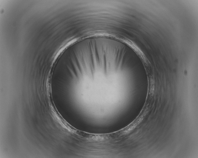 X0000085210806200703231505