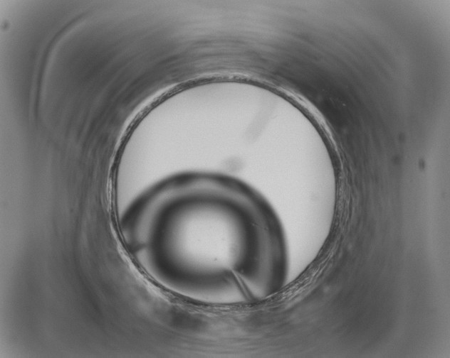 X0000085210807200703231505