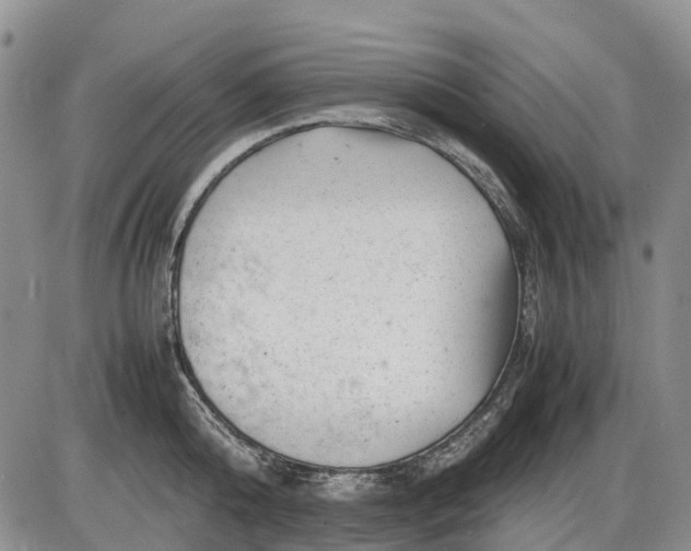 X0000085210808200703231505