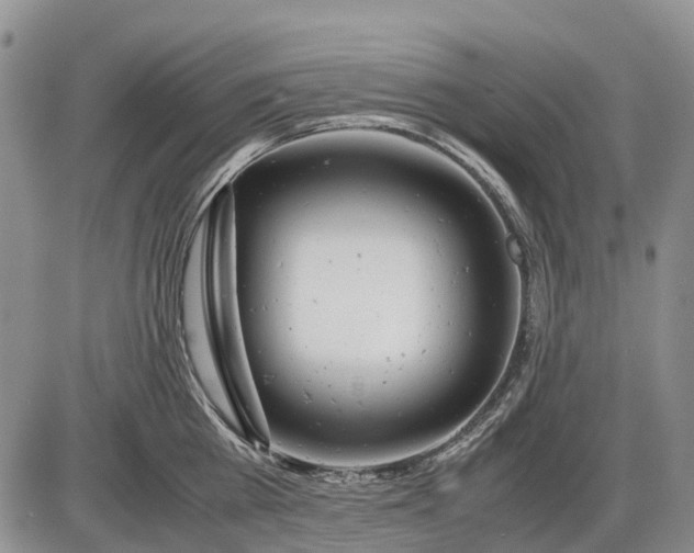 X0000085210809200703231505