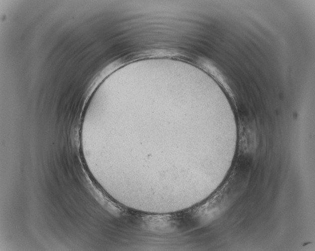 X0000085210810200703231505