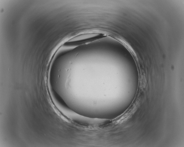 X0000085210813200703231505