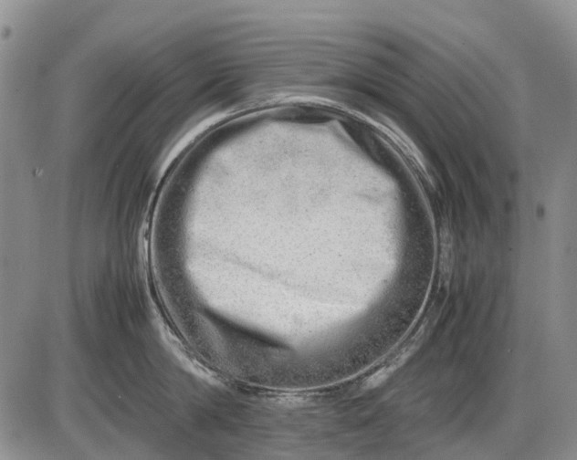 X0000085210814200703231505