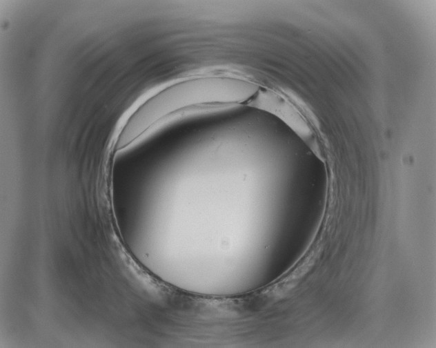 X0000085210816200703231505