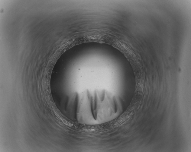 X0000085210817200703231504