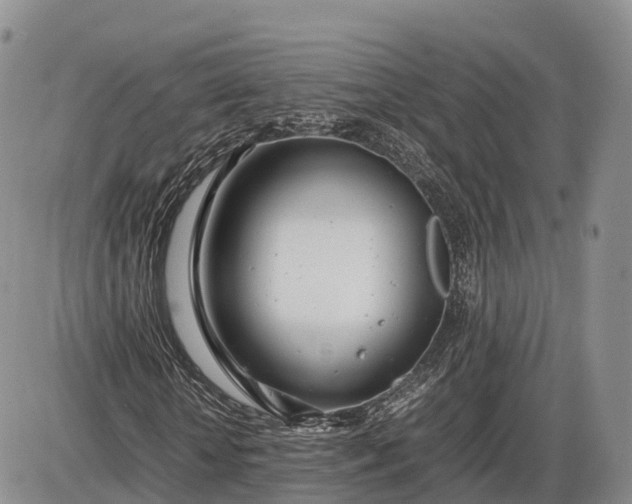 X0000085210818200703231504