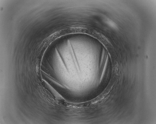 X0000085210821200703231504