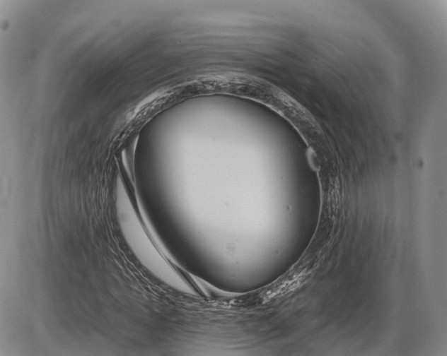 X0000085210822200703231504