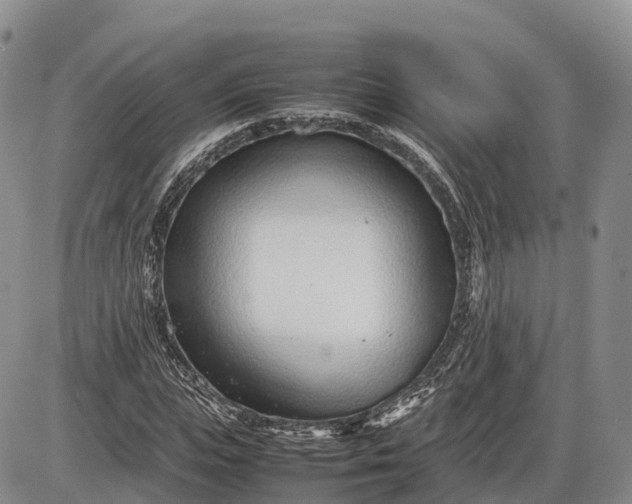 X0000085210823200703231504