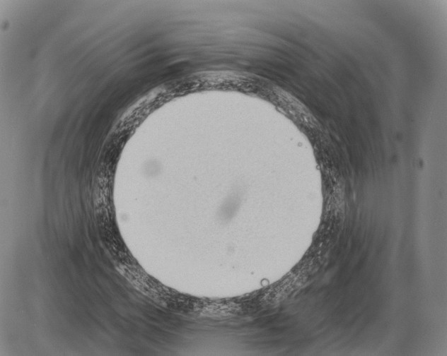 X0000085210824200703231504