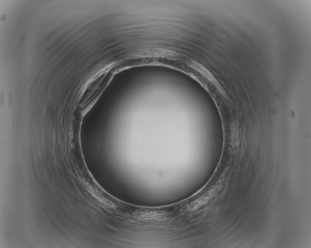 X0000085210826200703231504