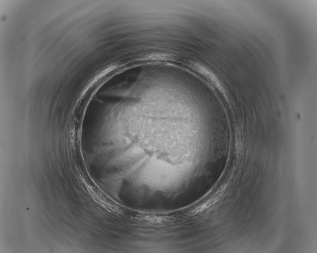 X0000085210827200703231504