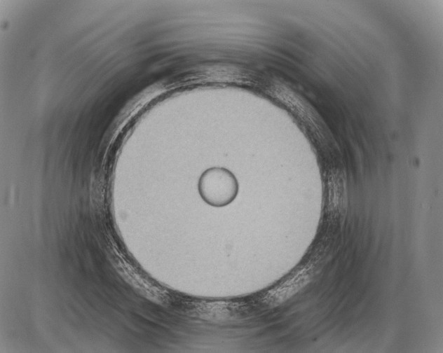 X0000085210828200703231505