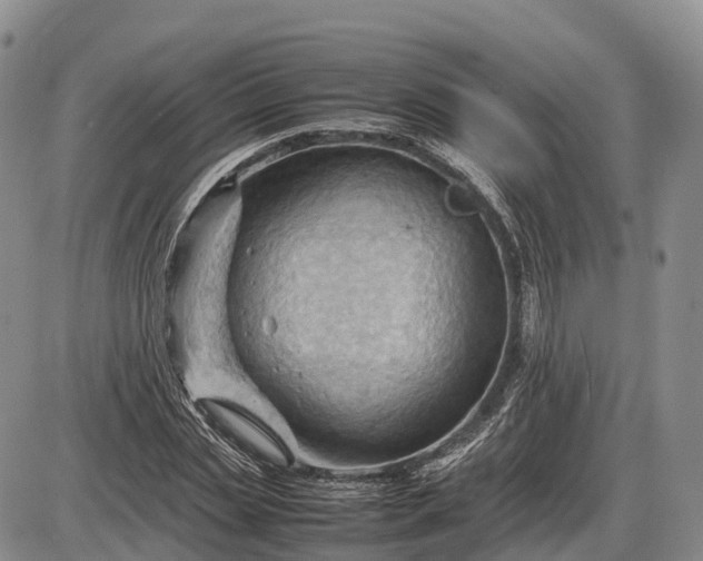 X0000085210829200703231505