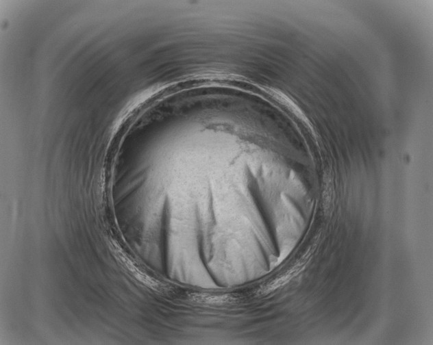 X0000085210831200703231505