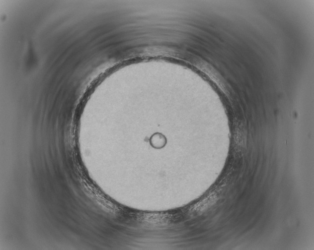 X0000085210832200703231505