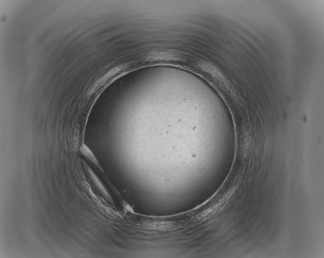 X0000085210833200703231505