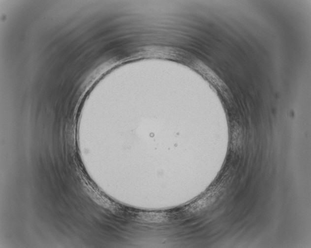 X0000085210836200703231505