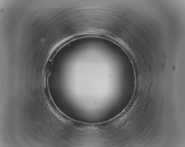 X0000085210838200703231505