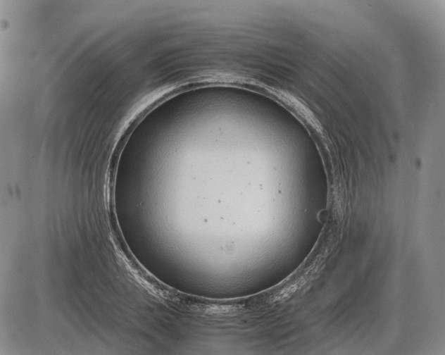 X0000085210839200703231505