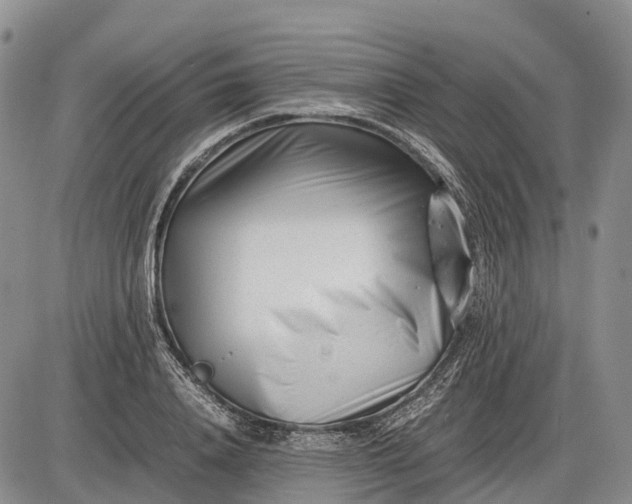 X0000085210840200703231505