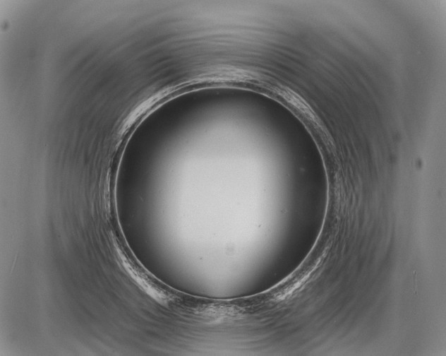 X0000085210842200703231505