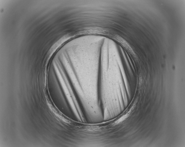 X0000085210844200703231505