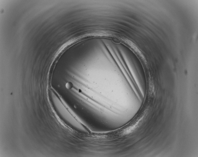 X0000085210845200703231505