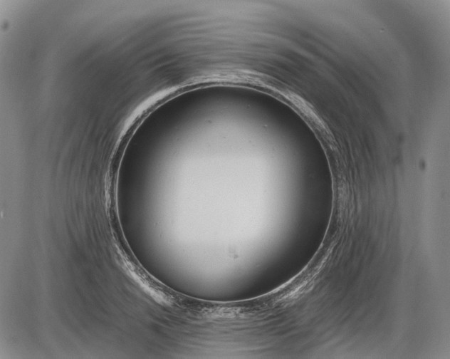 X0000085210846200703231505