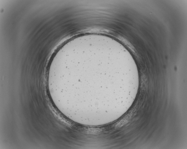 X0000085210848200703231505