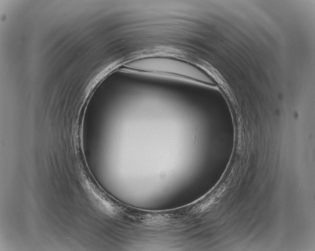 X0000085210850200703231505