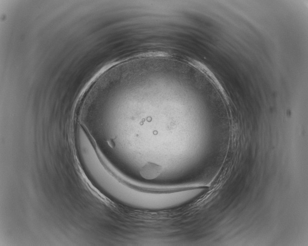 X0000085210851200703231505