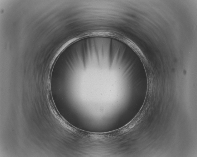 X0000085210852200703231505