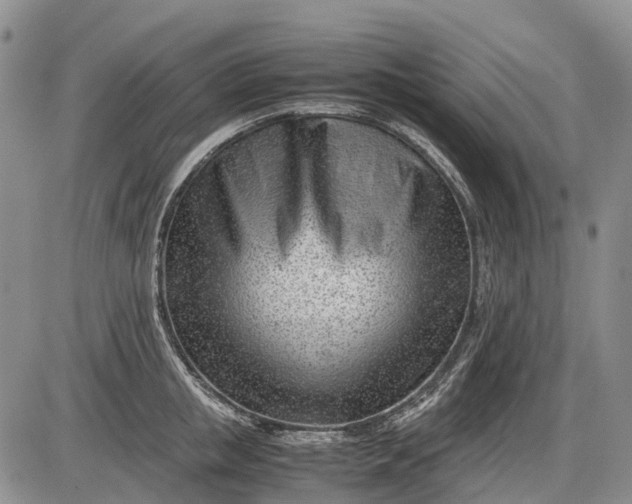 X0000085210853200703231505