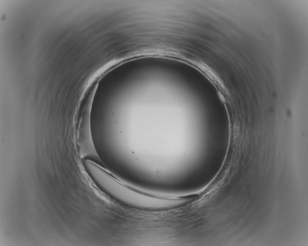 X0000085210854200703231505