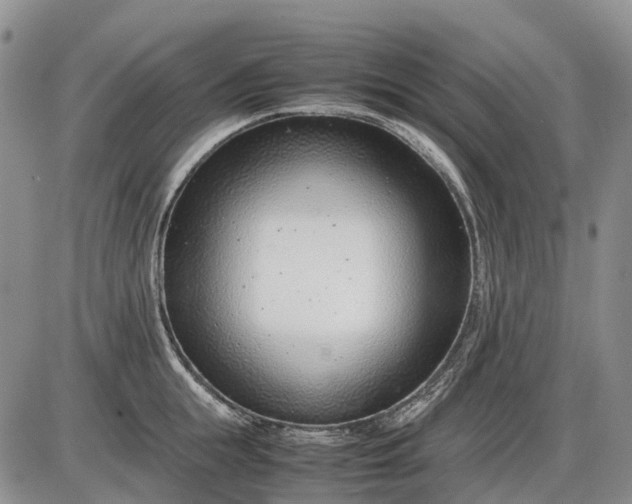 X0000085210855200703231505