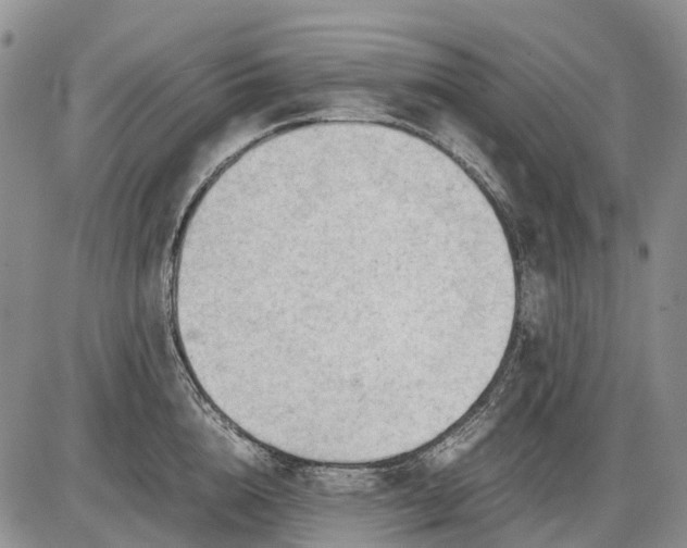 X0000085210856200703231505