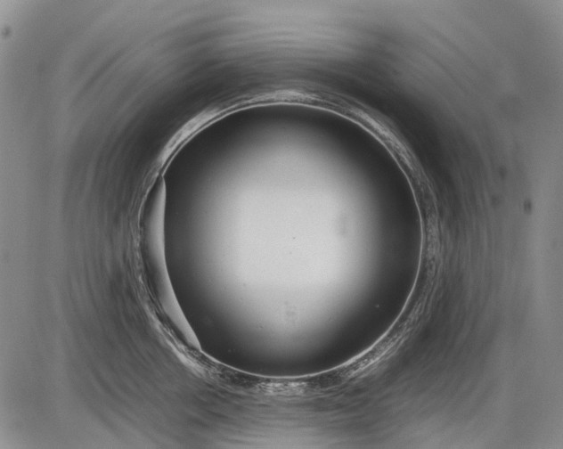 X0000085210858200703231505