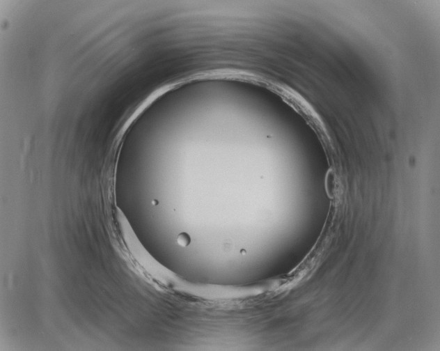 X0000085210860200703231505