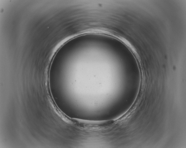 X0000085210862200703231505