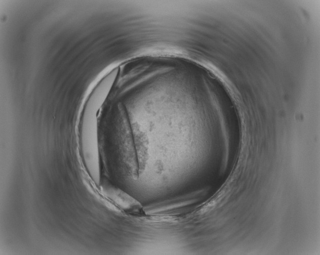 X0000085210864200703231505