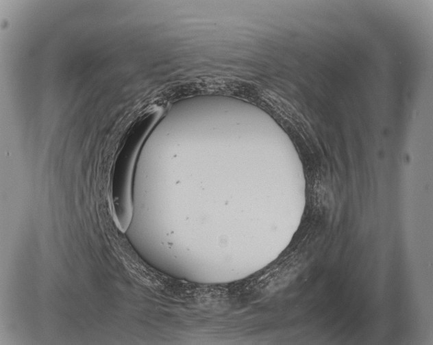 X0000085210865200703231504