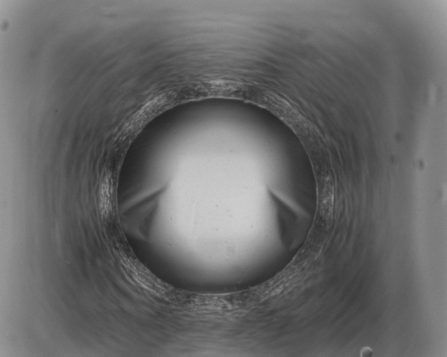 X0000085210866200703231504