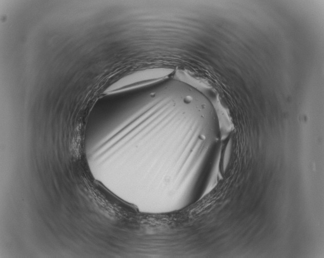 X0000085210868200703231504