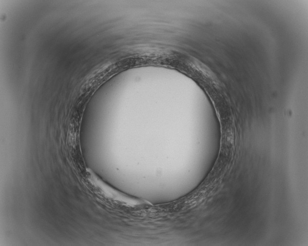 X0000085210869200703231504