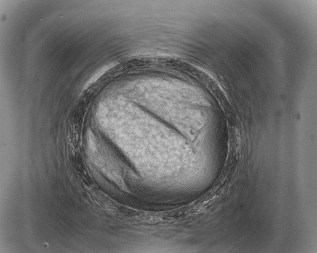 X0000085210871200703231504