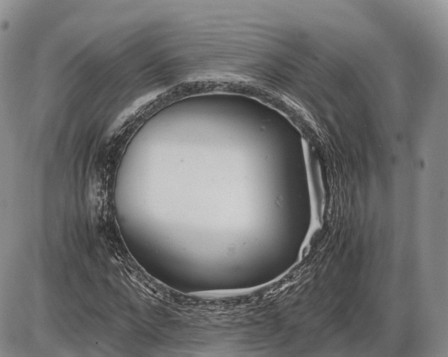 X0000085210872200703231504